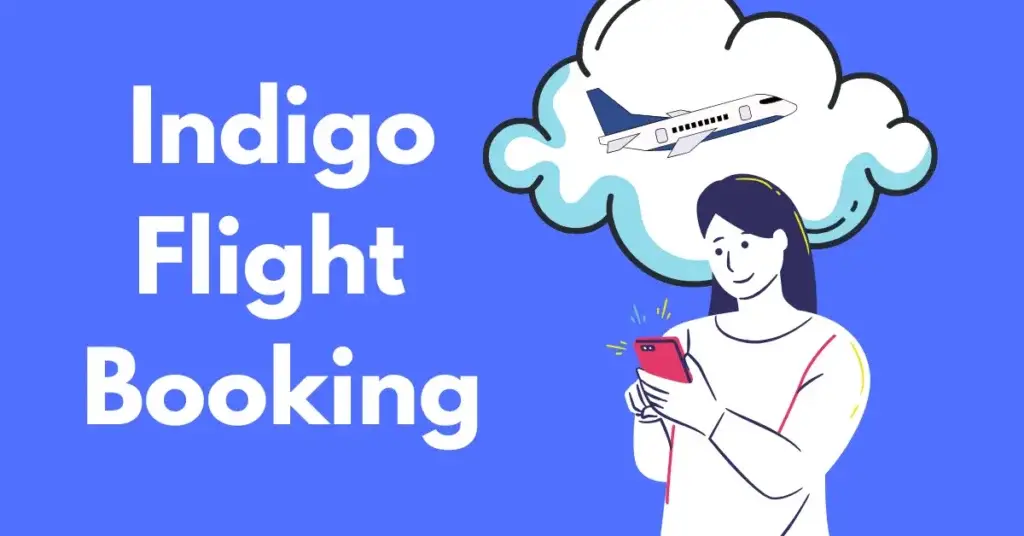 IndiGo Web Campaign Case Study
